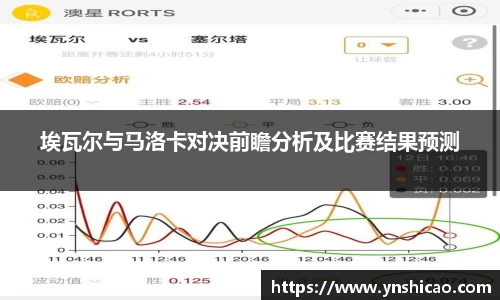 智博19