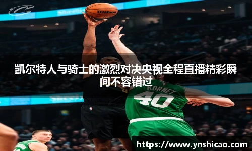 智博19