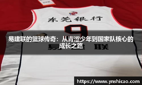 智博19