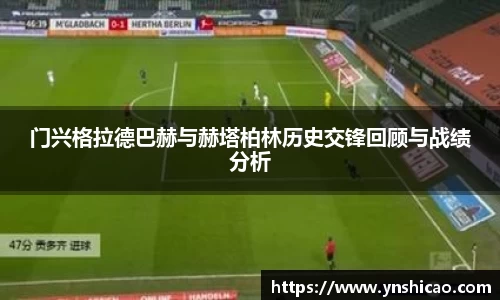 智博