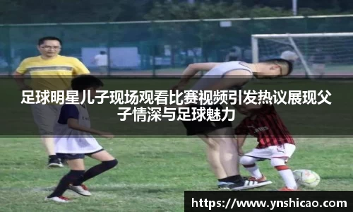 智博19