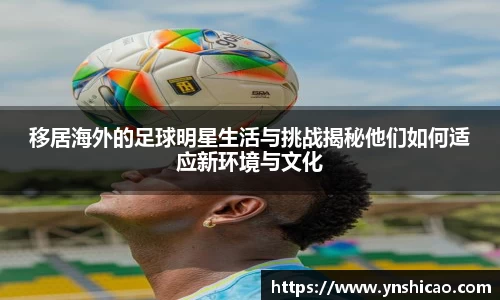 智博19有限公司