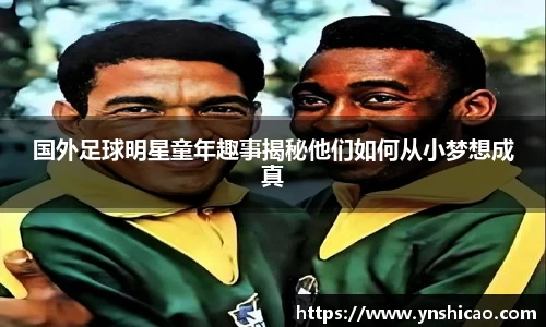 智博19有限公司